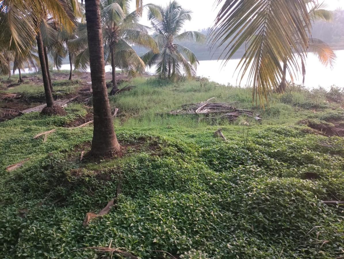 Bekal Village Homestay Kāsaragod Dış mekan fotoğraf